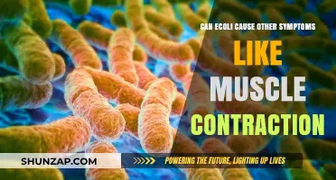 How E. coli Triggers Muscle Contractions and Other Symptoms