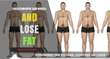 Ectomorphs: Muscle Gain and Fat Loss Strategies for Success