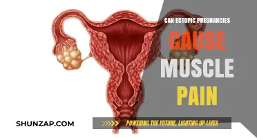 Ectopic Pregnancy: Muscle Pain and Warning Signs
