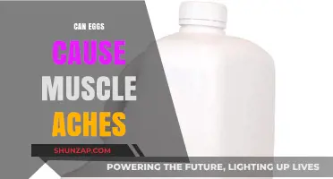 Eggs and Muscle Aches: What's the Connection?
