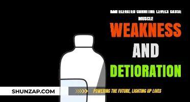 Carnitine's Dark Side: Muscle Weakness and Breakdown