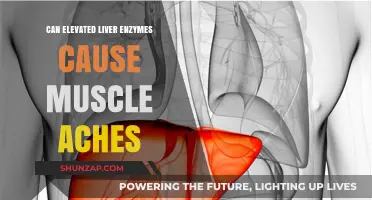 Liver Enzymes and Muscle Aches: What's the Link?