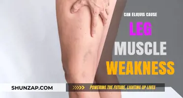 Eliquis and Leg Muscle Weakness: Is There a Link?