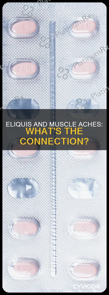can eliquis cause muscle aches