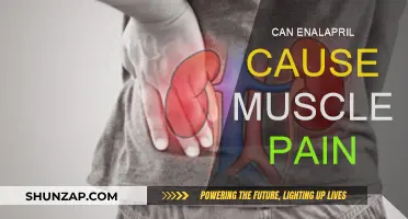 Enalapril Side Effects: Muscle Pain Explained