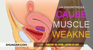 Endometriosis and Muscle Weakness: What's the Link?