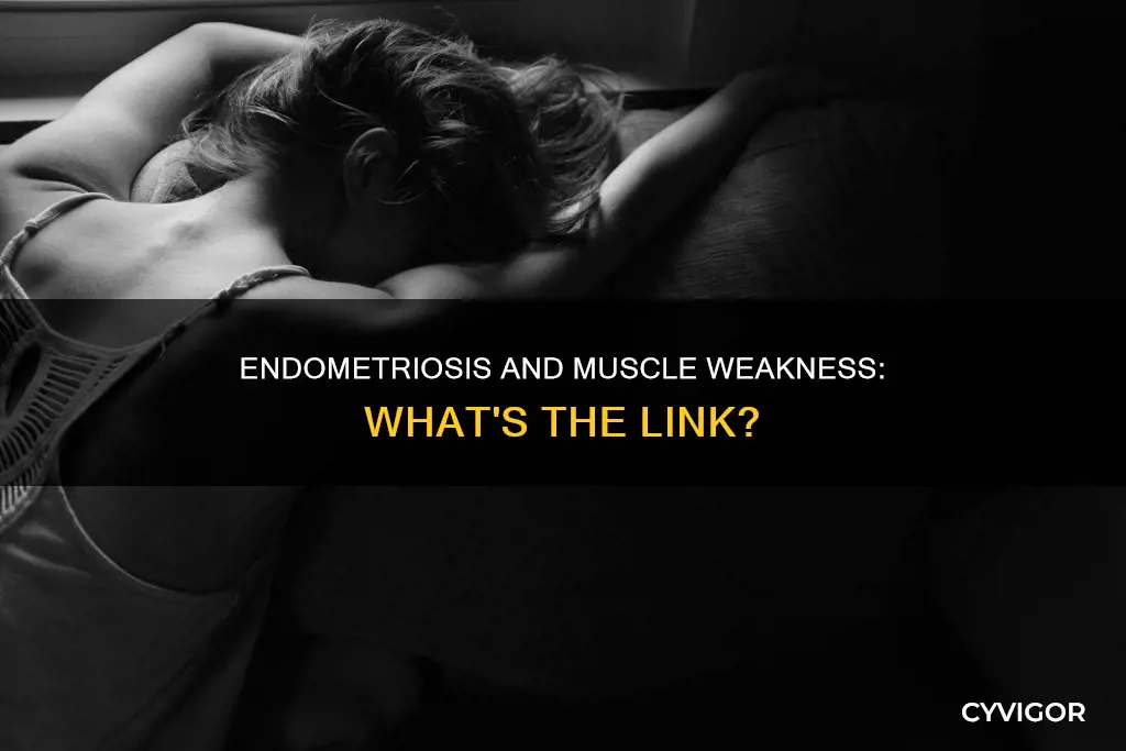 can endometriosis cause muscle weakness