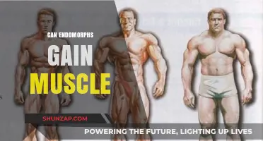 Can Endomorphs Build Muscle? Effective Strategies for Success
