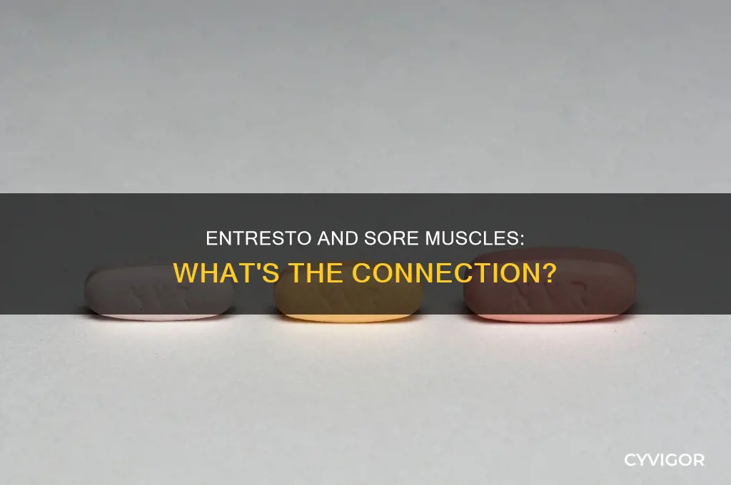 can entresto cause sore muscles