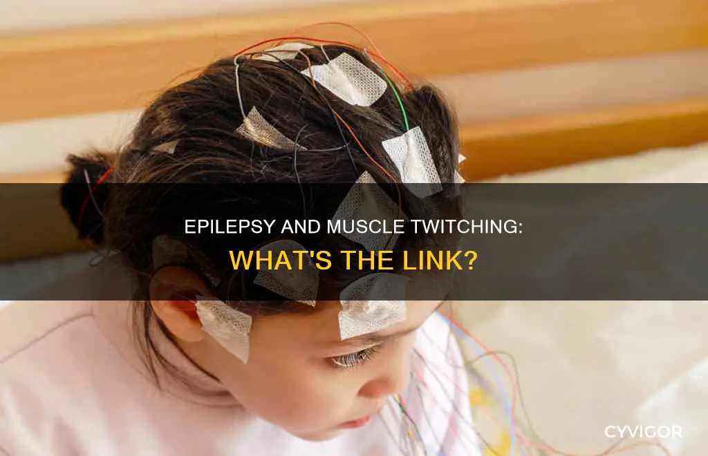 can epilepsy cause muscle twitching