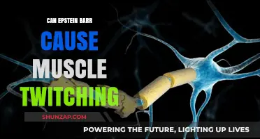 Epstein-Barr Virus: Muscle Twitching Explained