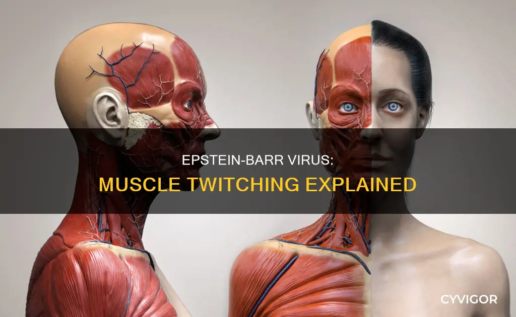 can epstein barr cause muscle twitching