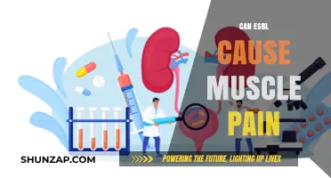 ESBL Infections: Understanding Muscle Pain Connection