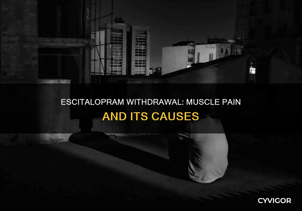 can escitalopram withdrawal cause muscle pain