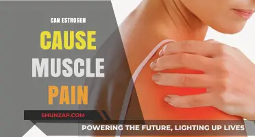 Estrogen's Link to Muscle Pain: What You Need to Know