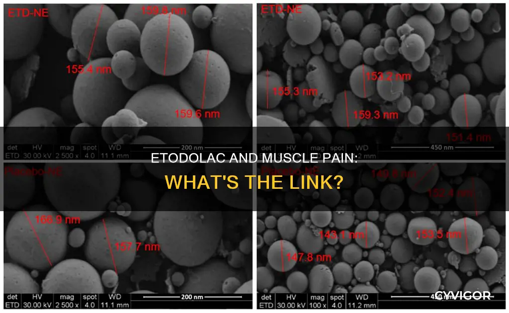 can etodolac cause muscle pain