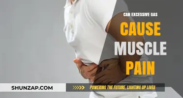 Excess Gas: A Culprit of Muscle Pain?