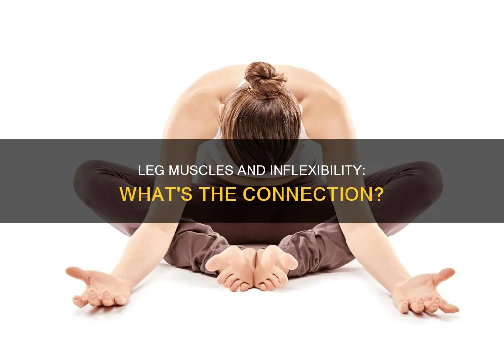 can excessive leg muscles cause body inflexibility