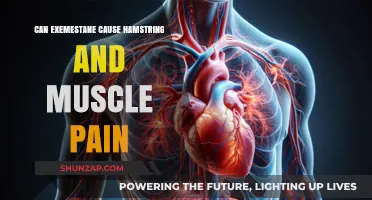 Exemestane Side Effects: Hamstring and Muscle Pain