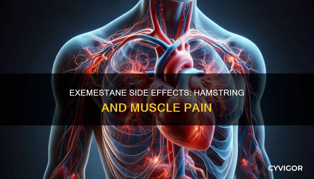 can exemestane cause hamstring and muscle pain