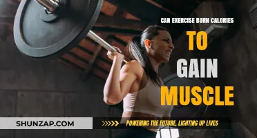 Exercise and Calorie Burn: Building Muscle Through Physical Activity