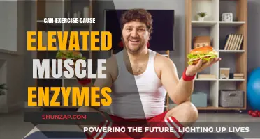 Exercise and Muscle Enzymes: What's the Connection?