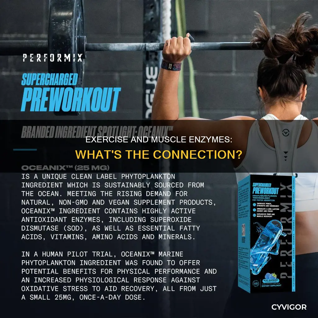 can exercise cause elevated muscle enzymes