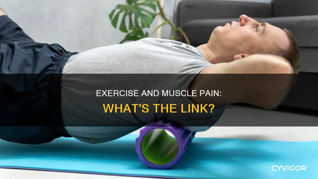can exercise cause muscle pain