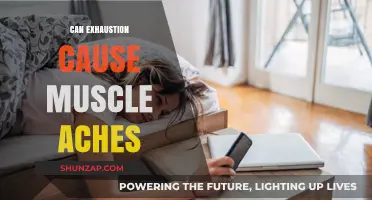 Exhaustion and Muscle Aches: What's the Connection?