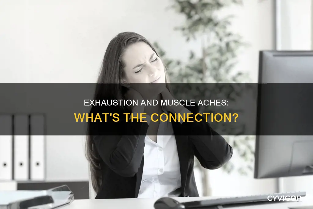 can exhaustion cause muscle aches