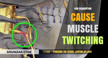 Exhaustion's Link to Muscle Twitching: What You Need to Know