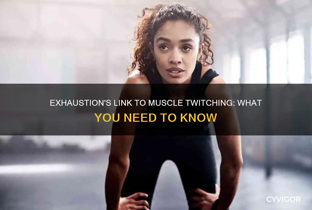 can exhaustion cause muscle twitching