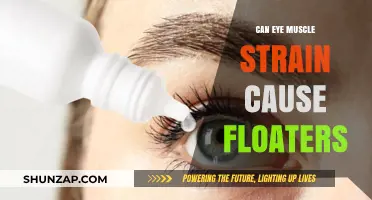 Eye Strain and Floaters: What's the Link?
