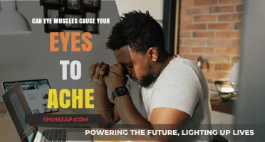 Eye Muscle Strain: A Cause of Eye Ache?