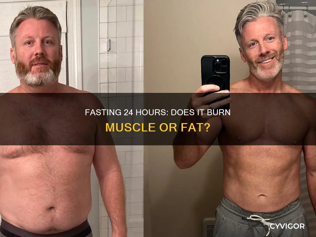 can fasting 24 hours cause you to lose muscle