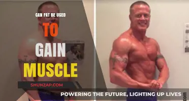 Using Body Fat to Build Muscle: Fact or Fiction?