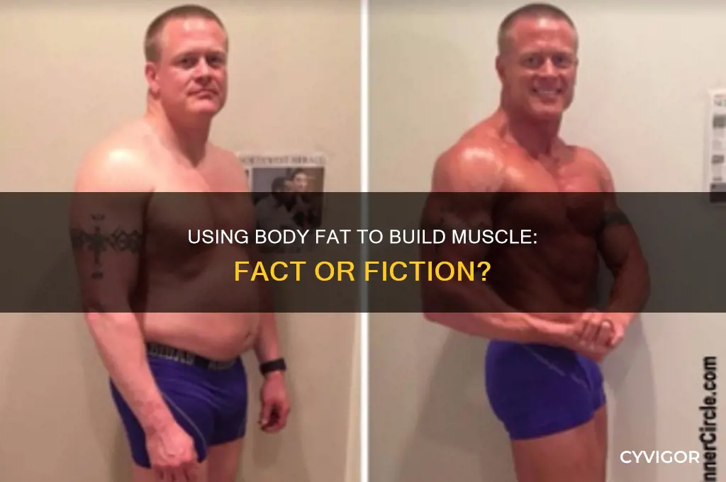 can fat be used to gain muscle