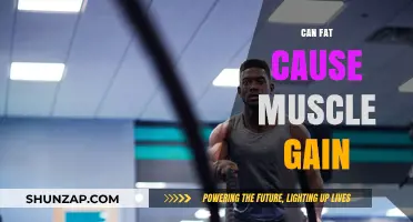 Fat and Muscle Gain: Is There a Link?