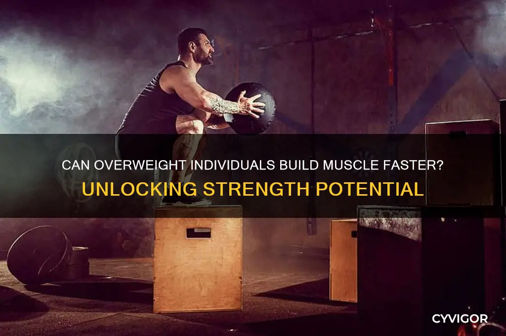 can fat people gain muscle faster