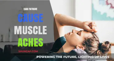 How Fatigue and Muscle Aches Are Linked