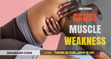 Fatigue and Muscle Weakness: What's the Link?