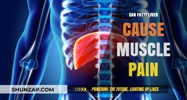 Fatty Liver and Muscle Pain: Is There a Link?