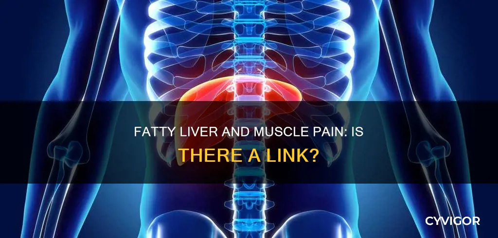 can fatty liver cause muscle pain