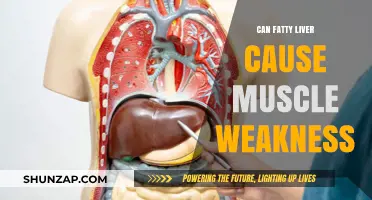 Fatty Liver and Muscle Weakness: Is There a Link?