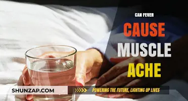 Fever and Muscle Aches: What's the Link?