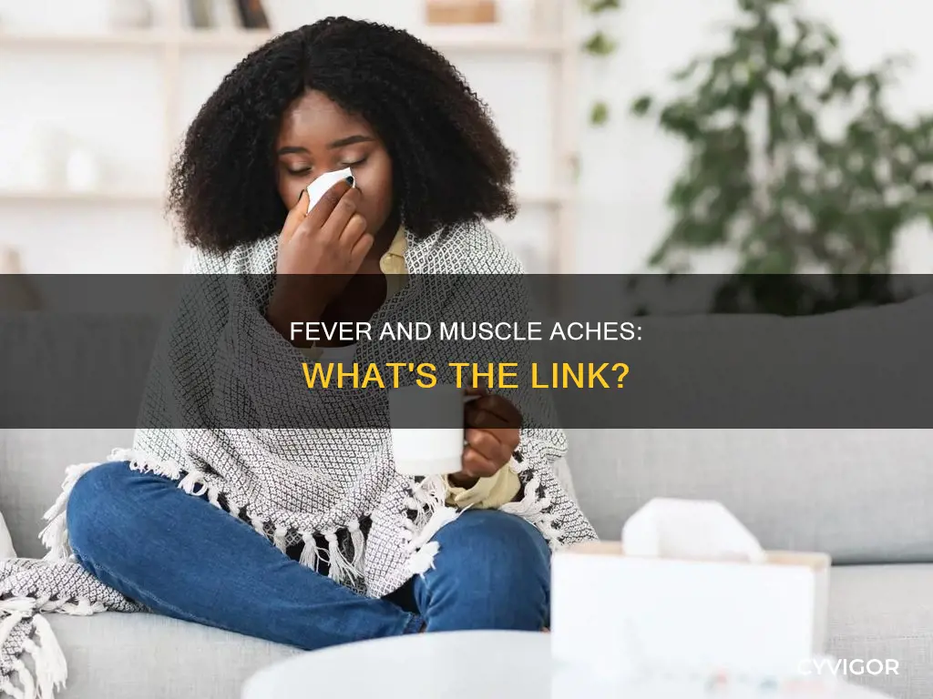 can fever cause muscle ache