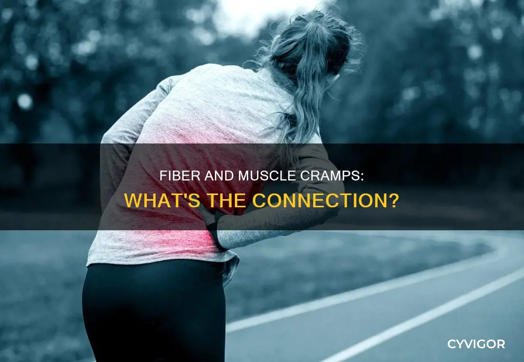 can fiber cause muscle cramps