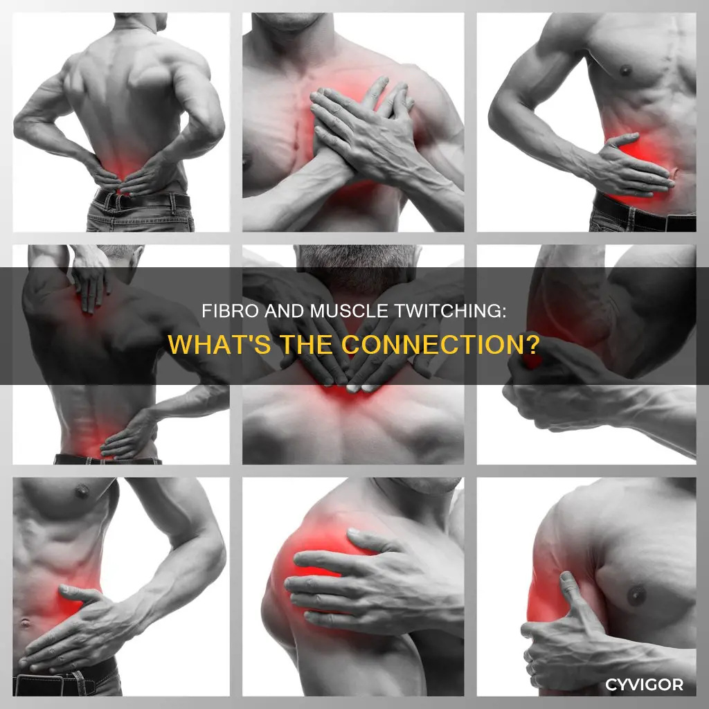 can fibro cause muscle twitching