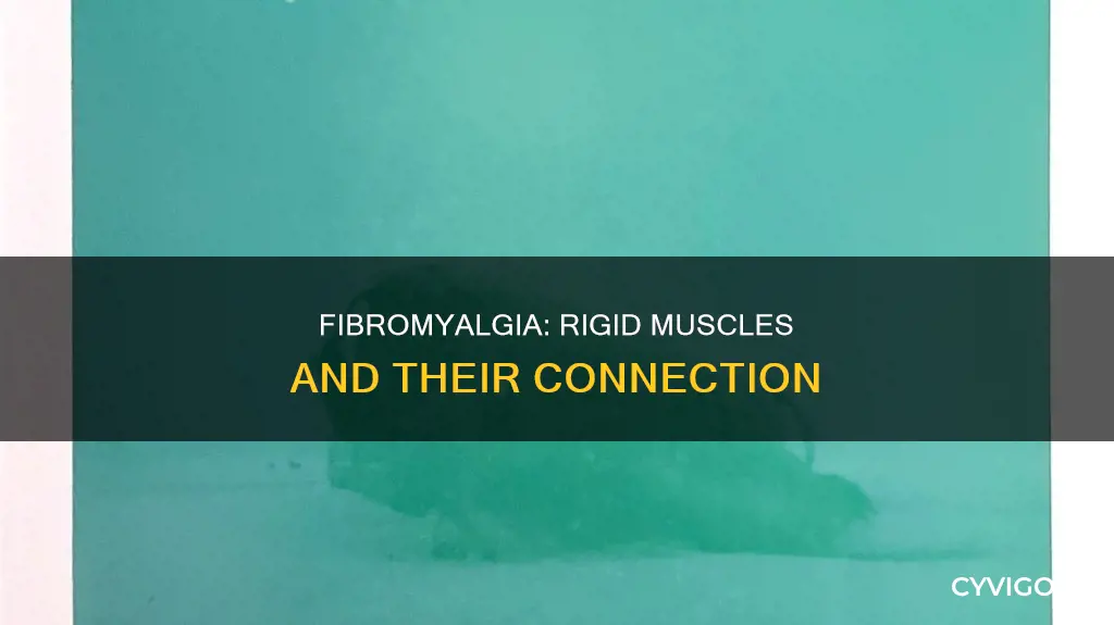 can fibromyagia cause ridged muscles