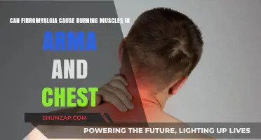 Fibromyalgia: Burning Muscles in Arms and Chest